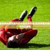 (一派狐言by四喜汤圆讲的什么)一派狐言，深度解读与探索