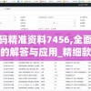 (跳舞的线饭制版本大全引导线)跳舞的线饭制版本游戏大全，深度解析与常见问题解答