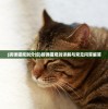 (进击的阿斯托拉手机游戏卸妆玩法)进击的阿斯托拉CG图，深度解析与探索