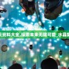 (无尽噩梦5怨灵咒(辅助菜单)2.01)无尽噩梦5怨灵咒（辅助菜单），深度解析与常见问题解答