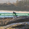 (黎明之海好玩吗)黎明之海，为何游戏玩家流失严重？