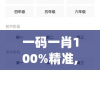 一码一肖100%精准,探讨有效解答的实施方法_游戏版VIPv.7.731