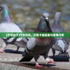(烽火三国2三星夺魄武将)烽火三国2，战略与荣耀的续写
