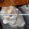 (猫灵相册好玩吗)猫灵相册单机纪念版，深度解析与常见问题解答