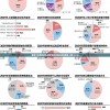 新澳今天最新资料,解析机构预测的实施策略_D款.9.758