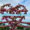(王者传奇攻略冲350秒6转)王者传奇攻略大全，游戏指南与常见问题解答