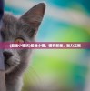 (出发 领主大人)出发领主大人下架背后的原因与影响