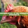(一款很老的单机农场游戏,有牛羊鸡,一关一关的)一款经典单机农场游戏，时光回溯的农业冒险之旅