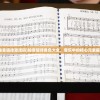 (轴音旋律激活码)轴音旋律角色大全，音乐中的核心元素解析
