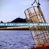(境双城什么时候播出)境双城片花，探寻影视艺术的魅力与深度