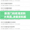 新澳门码精准资料火凤凰,决策资料解释落实_客户版.3.595