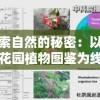 (列王纪ec)列王纪元关服原因深度解析
