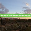 (战地精英枪战王者下载)战地精英枪战王者，游戏魅力与深度探讨