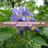 (幻想山海经阵容搭配)山海经幻想录平民攻略详解及常见问题解答