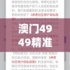 澳门4949精准免费大全管家婆,热点问题的深入讨论与解答_半成制.8.722