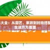 7456管家婆资料大全：从厨艺、家政到时尚搭配，一应俱全涵盖生活方方面面