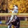 (白蛇缘起最后在一起了吗)白蛇缘起与诛仙，东方奇幻的双重魅力