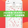 2024年澳门天天开彩7456,涵盖了广泛的解释落实方法_冒险款.3.765
