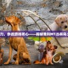 (香肠派对摸金模式怎么玩新手教程)香肠派对摸金模式攻略，玩转摸金，成为派对达人！