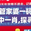 管家婆一码中一肖,探寻幸运密码与生活智慧_梦幻版3.765