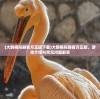 (大鹅模拟器官方正版下载)大鹅模拟器官方正版，游戏介绍与常见问题解答