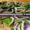 (方舟生存毛毛虫视频解说)方舟生存进化毛毛毛虫解说，深入解析游戏特色与玩法