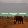 (变异动物园2下载)变异动物园2，探索未知生物的新篇章