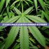 (艾兰岛怎么种植)艾兰岛象草叶片寻找指南及常见问题解答