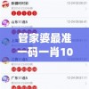 最准一肖一码100%精准心,专业分析解释落实_迷你型.5.515