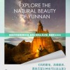 新奥天天免费资料大全,自然之美与心灵之旅_典藏款.0.922