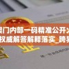 新澳门内部一码精准公开火凤凰,权威解答解释落实_跨界版.0.15