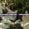 (猫咪大战争最新版下载)猫咪大战争，一场席卷全球的萌宠狂欢