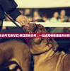 (疯狂宠物诊所无限钻石)疯狂宠物诊所，一站式宠物健康服务的新时代探索