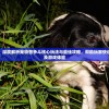 (世界奇妙物语百度云)物语百度云的探索，云存储的新纪元