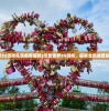 (传奇世界3d游戏礼包都有哪些)传奇世界3D游戏，探索全新维度的奇幻之旅