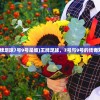 (魔力之刃马格努斯怎么打)魔力之刃马格努斯，传奇之刃的史诗之旅