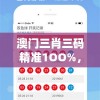 澳门三肖三码精准1OO%，打造专业玩家必备神器，稳赚不赔的好方法!