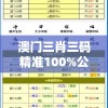 澳门三肖三码精准100%公司认证管家婆：最可靠的预测服务，让您轻松赢取百万大奖