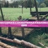 (我的团长我的团游戏官网)我的团长我的团游戏，深度分析与玩家指南