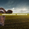 (征途三国版攻略)三国版征途折扣，深度解析与常见问题解答