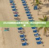 (天之鸟破解版)探索奇幻之旅，天之鸟游戏攻略详解