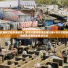 (谍战2024守护者们)张一山守护者们免费播放，探寻热血英雄背后的故事
