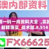 (幽游白书武术会最新阵容)幽游白书武术会停运，深入解析背后的原因与影响