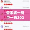管家婆一码中一肖2024,探索新兴旅游胜地的魅力_游戏版7.992