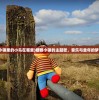 (糖糖小镇里的小鸟在哪里)糖糖小镇的主题歌，音乐与童年的梦幻交织
