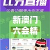新澳门六会精准免费开奖管家婆,深入分析科技相关成语的内涵_潮流版IP.8.411