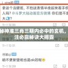 揭秘神准三肖三期内必中的玄机，投注必赢秘诀大揭露