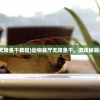(动物餐厅无限鱼干教程)动物餐厅无限鱼干，游戏秘籍与深度解析