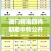 澳门精准四肖期期中特公开7456,系统解答解释落实_任务款.5.765