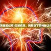 (失落的纹章)失落纹章，网易旗下的神秘之作